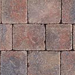 Tegula